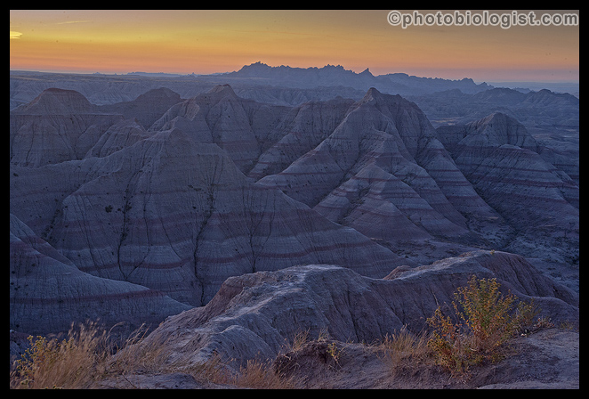 Before the sun came up in the Badlands.