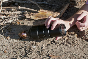 A Sigma 70-300 mm lens (at 300 mm and f/5.6) is used to ignite a fire.