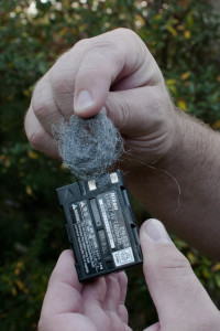 When steel wool touches the positive and negative terminals of a battery (in this case a Nikon EN-EL3), it rapidly ignites.