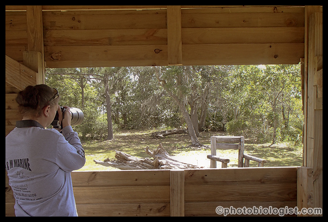 Shooting out of one of the bird blinds at Indian Point RV Resort in Gautier, MS.
