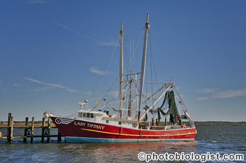 Shrimp Boat