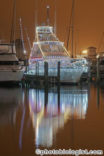 Christmas Boat