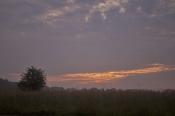 Prairie Sunrise