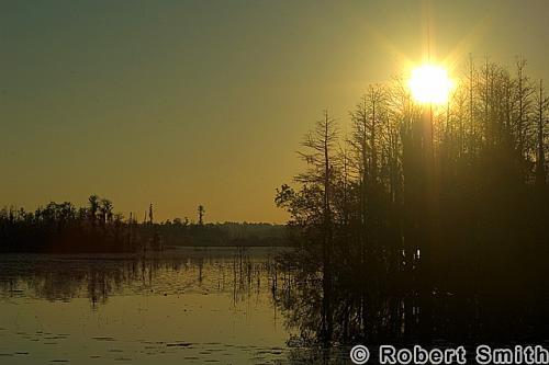 Swamp Sunrise
