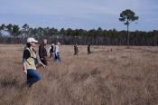 Grassland Bird Survey